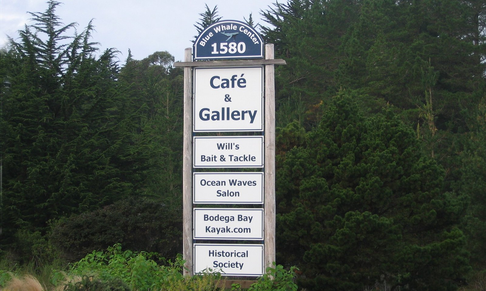 Blue Whale Center Post & Panel Sign by Sign Dynamics