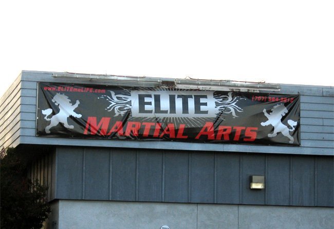 Elite Martial Arts Banner by Sign Dynamics