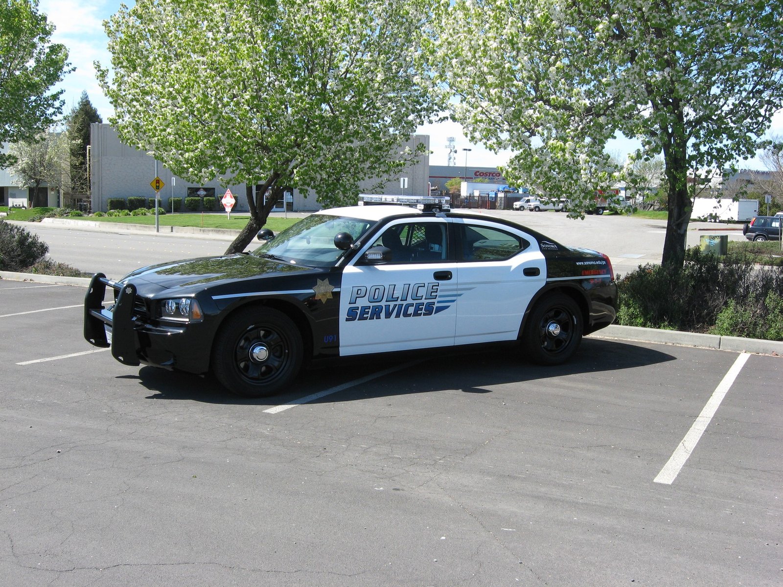 SRJC Police Service Vehicle Graphics by Sign Dynamics
