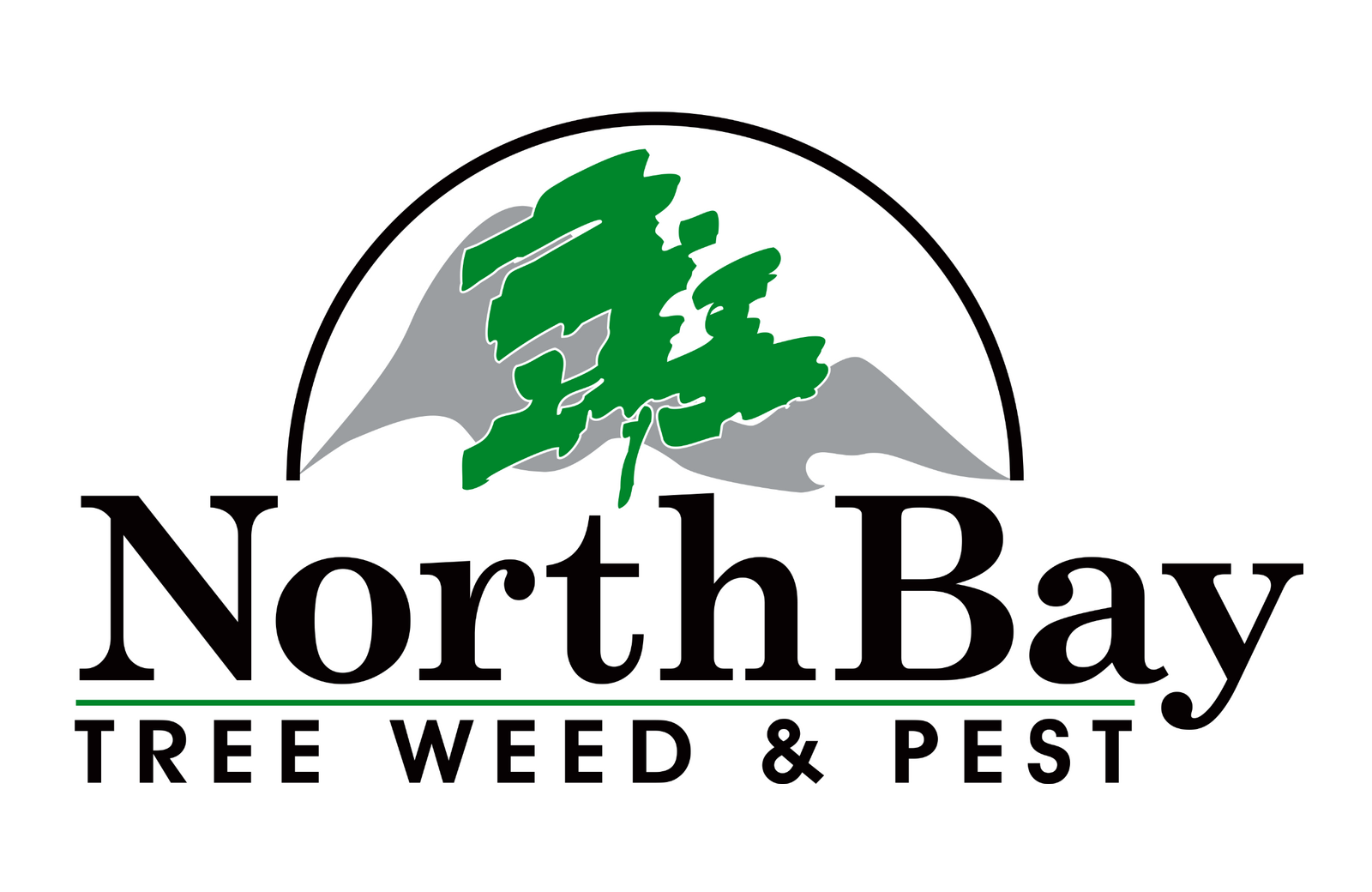 Logo Design project by Sign Dynamics