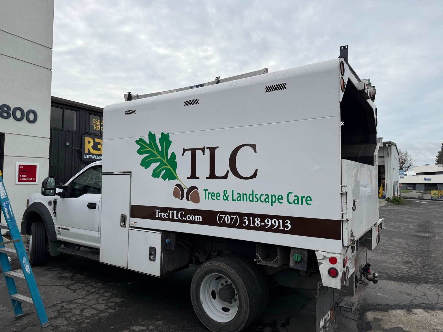 TLC Tree & Landscape Care Truck by Sign Dynamics